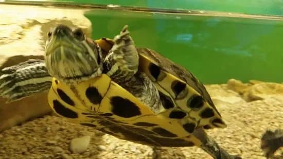 Porec Aquarium