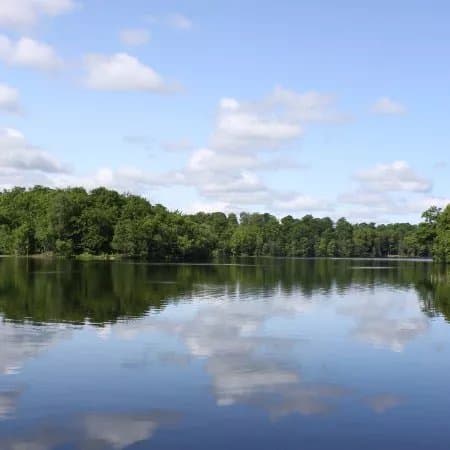 Dagstorpssjon – Ostra badplatsen