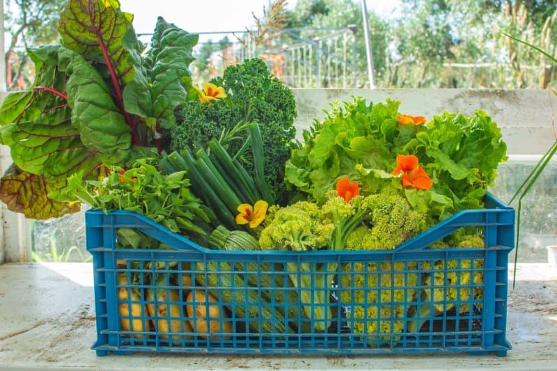 Dio Pigadia Permaculture Farm