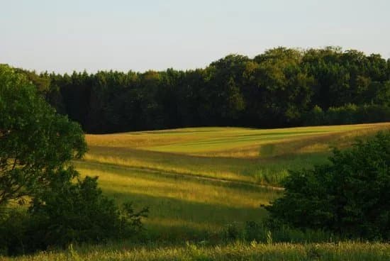 Ledreborg Palace Golf