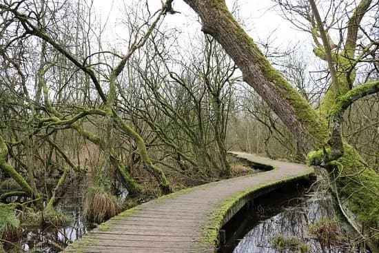 Natuurgebied De Moerputten