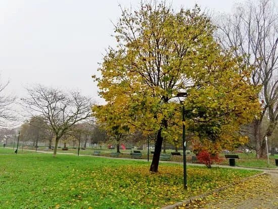 Parco Giovannino Guareschi