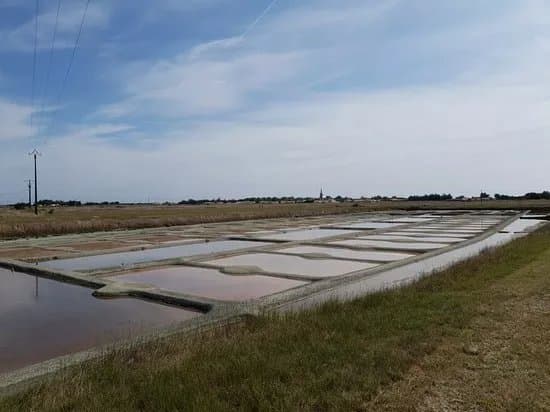 Marais salant Les Valencieres