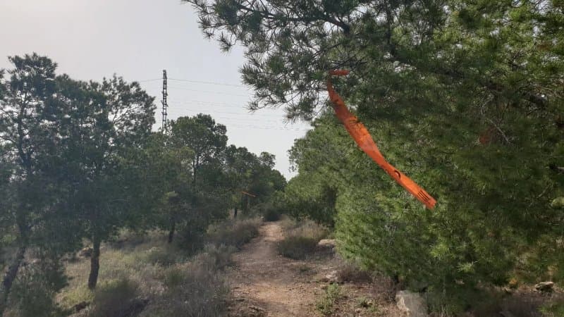 Forestal Monte Orgegia Park