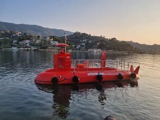 Pansaronic