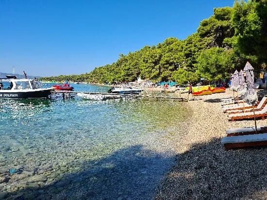 Beach Borak