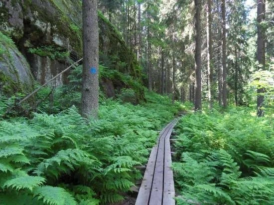 Niivermaki Nature Conservation Area
