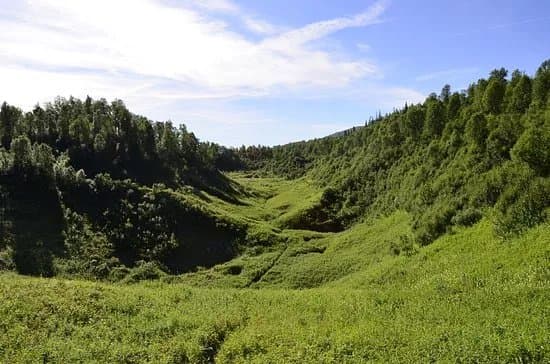 Bjuralven
