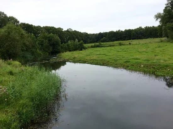 Natuurgebied Beekvliet