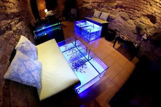 Fish Spa Vilnius