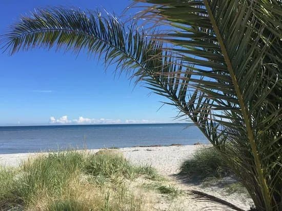 Palmestranden