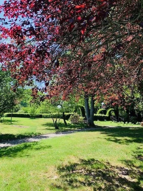 Mustergartenanlage im Grugapark
