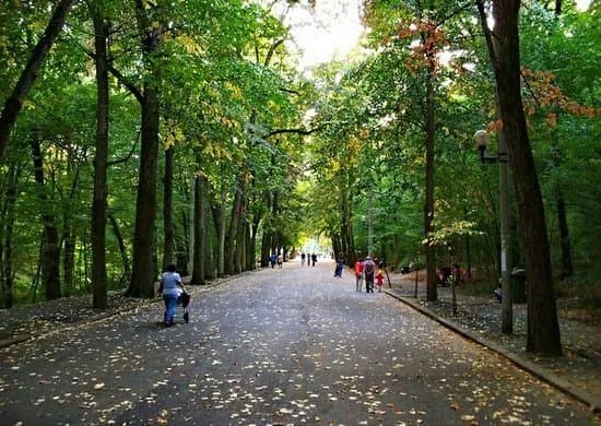 Trivale Park