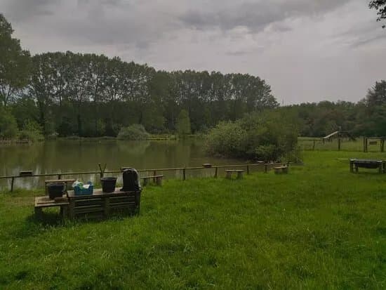 Come On Fish - Little Fish Land