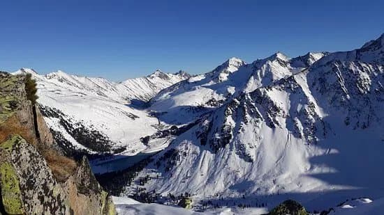 Freeride Division
