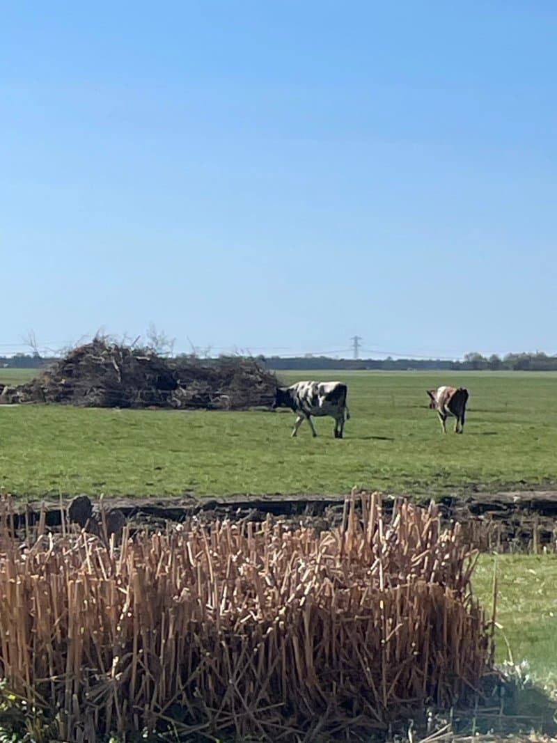 Boertel 'De Maarsdijk'