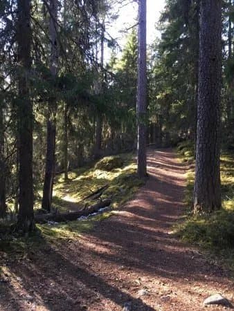 Seitsemisen Kansallispuisto