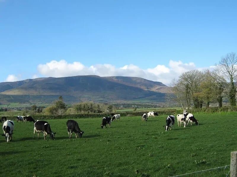 Nells Farm House with mountains views and hot tub