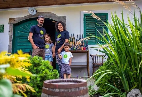 Nadas Winery - Nadas Bormuhely- Etyek