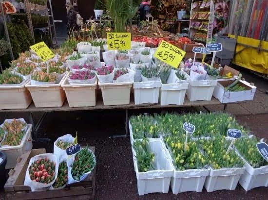 De Plantenmarkt