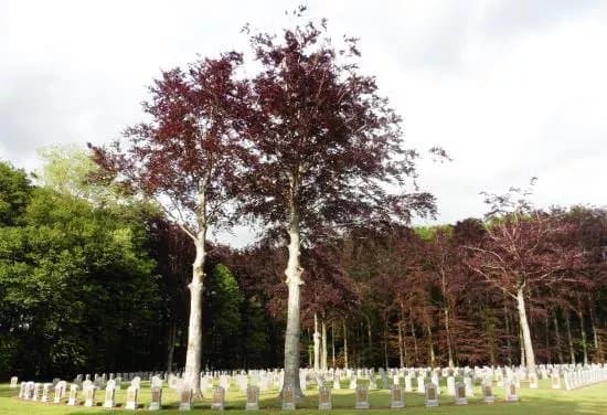 Houthulst Military Cemetery