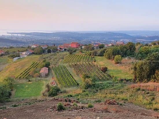Razgledna Tocka Marezige