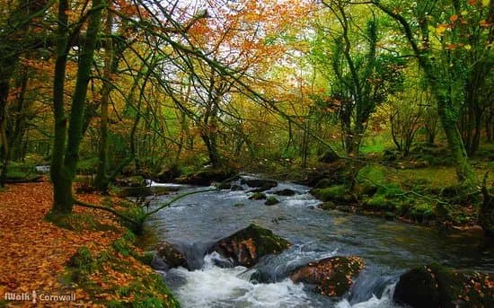 Golitha Falls and Siblyback lake circular walk