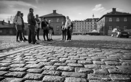 Nordic Noir Tours