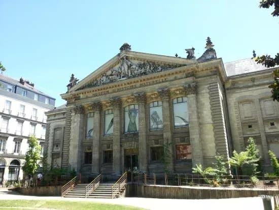Museum d'Histoire Naturelle de Nantes