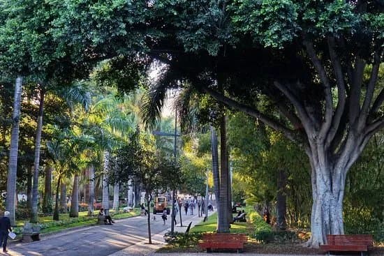 Rambla de Santa Cruz