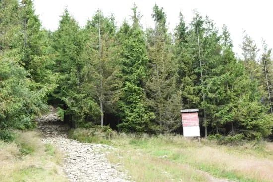 Mogielica Nature Reserve