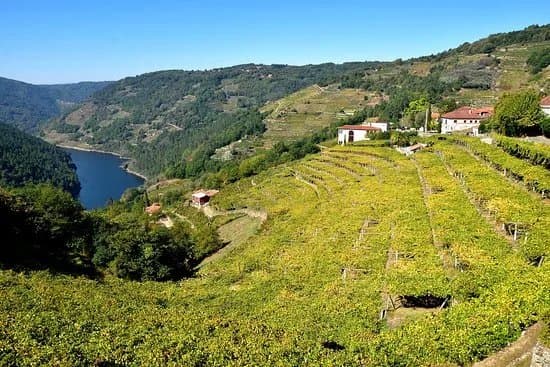 Abadia da Cova