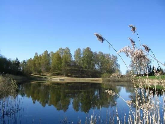 Rakni's Mound