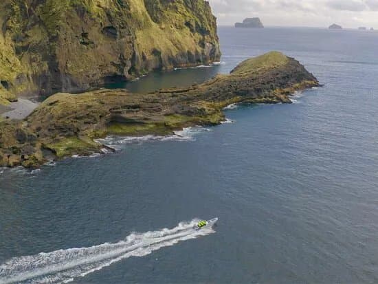 Seabirds and Cliff Adventures