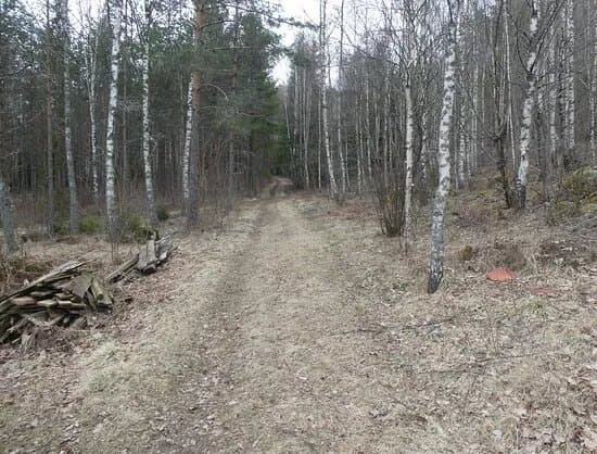 Kyststien I Halden