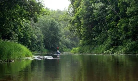 Wilderness Experiences in Soomaa National Park