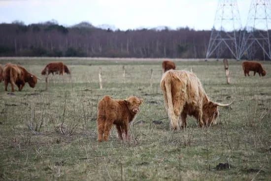 Landgoed Huis ter Heide