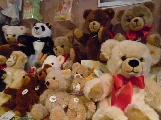 The Bear Necessities