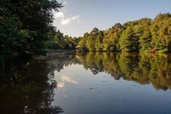 Tilgate Park