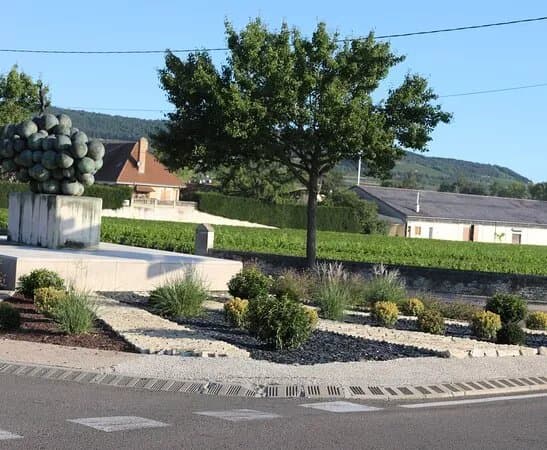 Grappe De Raisin De Puligny-montrachet