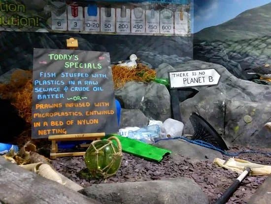 Dingle Oceanworld Aquarium