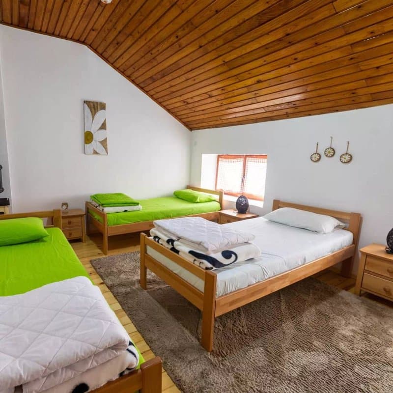 Hostel Mojan