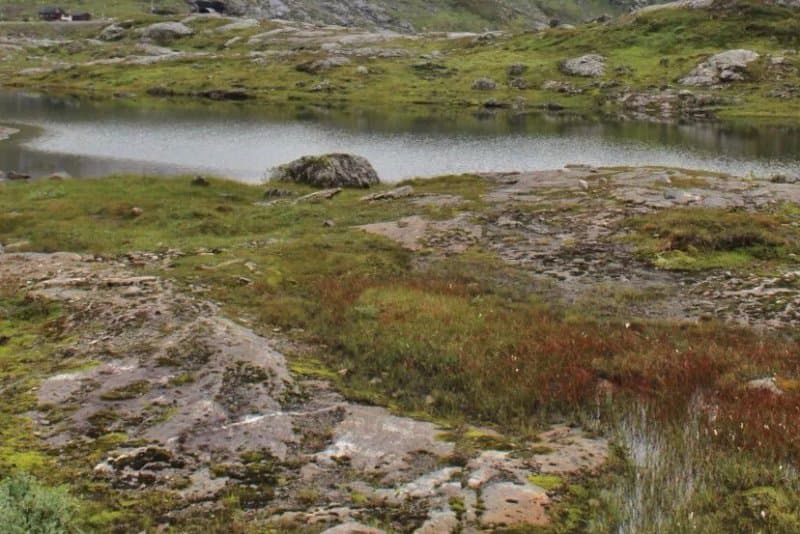 Bumannsvatnet