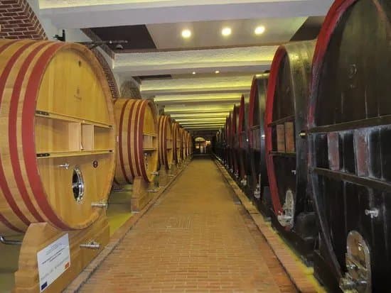 Wine Tours Macedonia