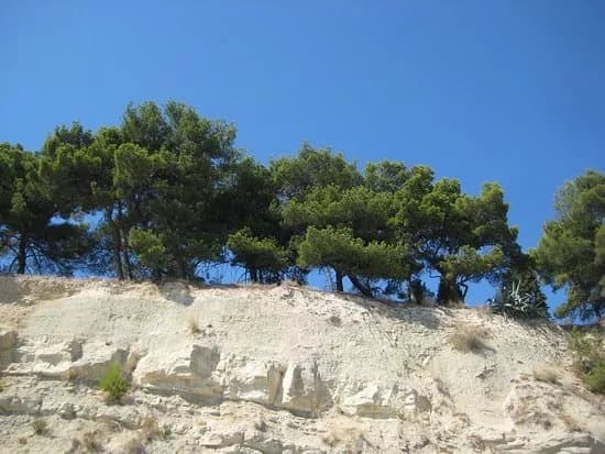Beach Jezinac