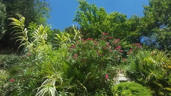 Jardin Exotique