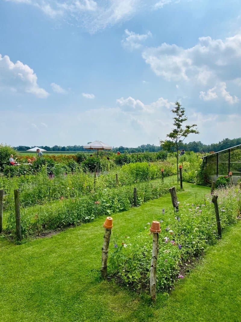 Pluktuin Stoutenburg