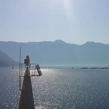 Tours by Tiho & Sons
