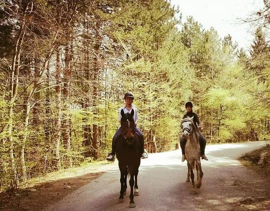 Horse Stables Dragalevtsi