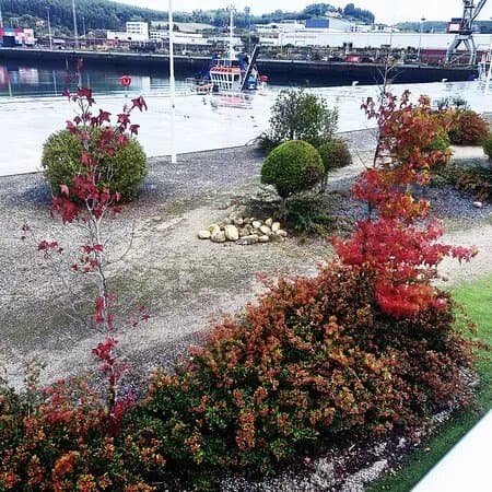 Jardin Oriental (Japones)